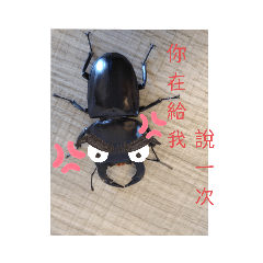 鍬鍬的日常