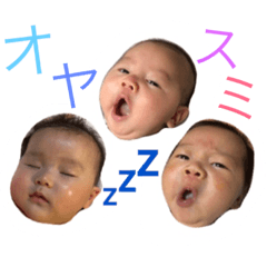 aonatsutake