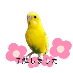 risa_20210620174506