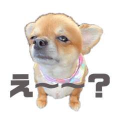 Hikari_20210620122147