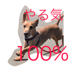 kotakotakota0302