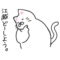 EGOSHI CAT