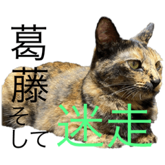 tono_20210620212218