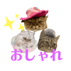 omochi_20210620225702