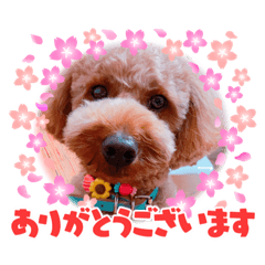 ayumi_20210621005215