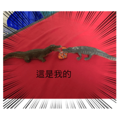 鱷魚貼圖之一