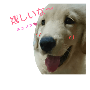 youtaro2