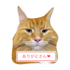 happystamp kaoru