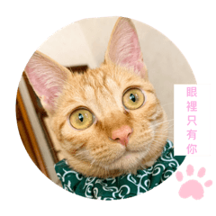 就是要皮皮～笛