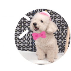 嗨我叫BATA  嘿我是HARU