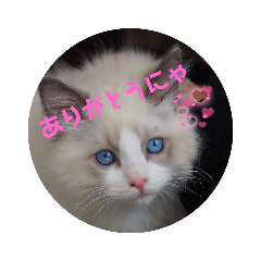 Yuka_20210620222414