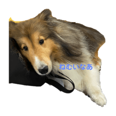 mizuki_20210620223707