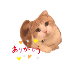 tonton_20210620231346
