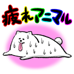 tired animals