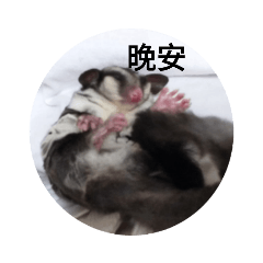 徐子喬