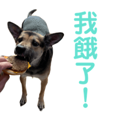 芒果狗狗的貼圖