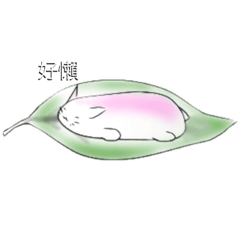 有點懶～耍廢貓粄