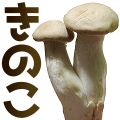 Mushroom is great.
