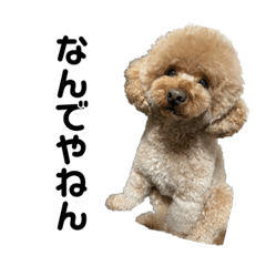 arisa_20210620130950