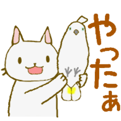 White cat and white cockatoo