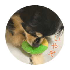 mitsuki_20210621054942