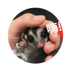 小丫頭啊啊