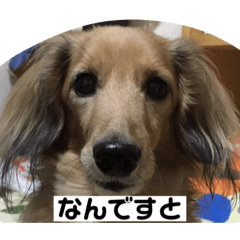 chie_20210621154017