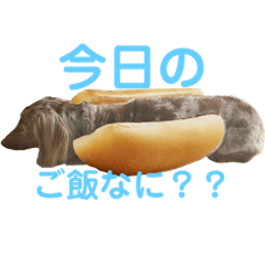 Yukari_20210621130354