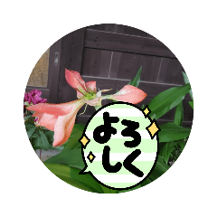 HANA_20210621144622