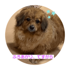 michiko_20210621150200