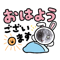 猫カフェロンロン広島店スタンプ Lineクリエイターズスタンプ Stamplist