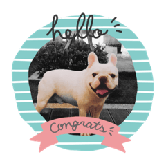 我是阿鬥（歡迎鬥弟）