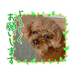 KII_20210621173644