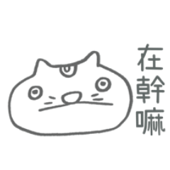 Wangcat