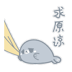 Cute little seals-HuiHui