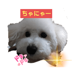 jackie_20210621220416