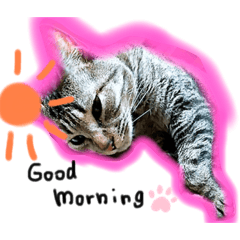 ryoooo1114_20210621230123