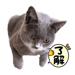 aoi_20210621214333