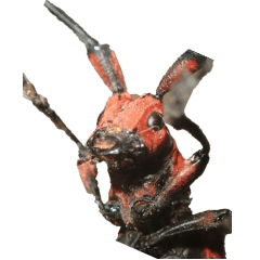 Longhorn beetle without wording3-BIG