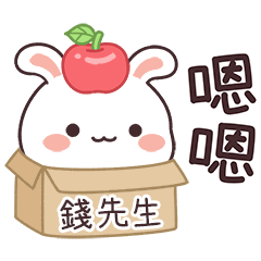 嬌嬌兔姓名貼_錢先生專用
