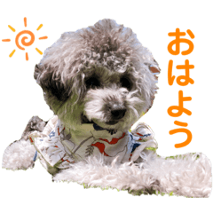 tommy_20210622113754