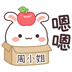 嬌嬌兔姓名貼_周小姐專用