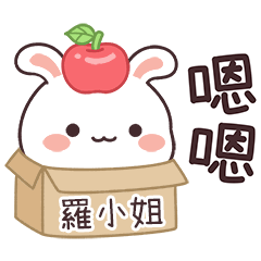 嬌嬌兔姓名貼_羅小姐專用