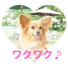 yukari_20210622155838