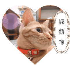 就是要皮皮～笛（問候篇）