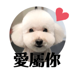 BATA 跟HARU的快樂生活