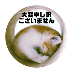 SHIZU_20210622105029