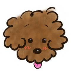 Baby Poodle BaoBao #1 (sticker ver.)