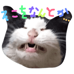 ぶちゃかわ Line スタンプ Line Store ぶちゃかわ Line スタンプ Line Store