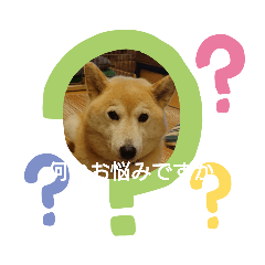 puku_20210622140803